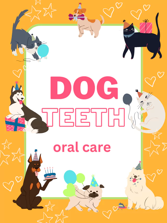 Symptoms of dog teeth abnormalities