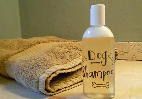 Best Homemade dog shampoo Recipe