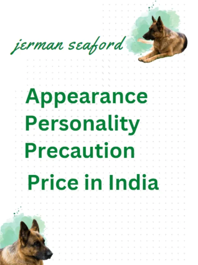 Jerman Seaford Dogs Puppy: Prices & Availability in India