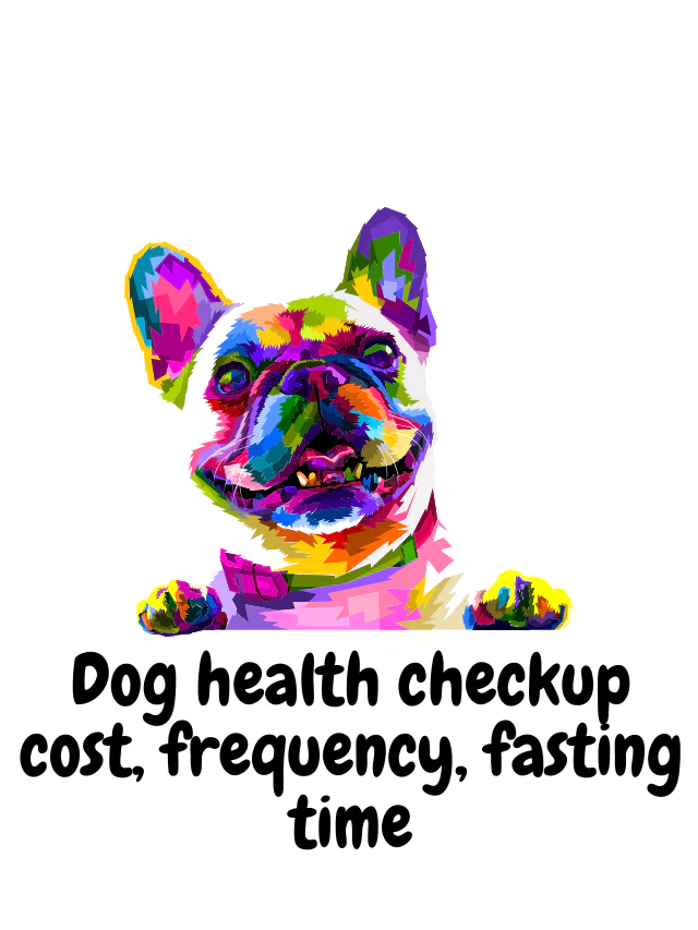 Dog health checkup cost, frequency, fasting time